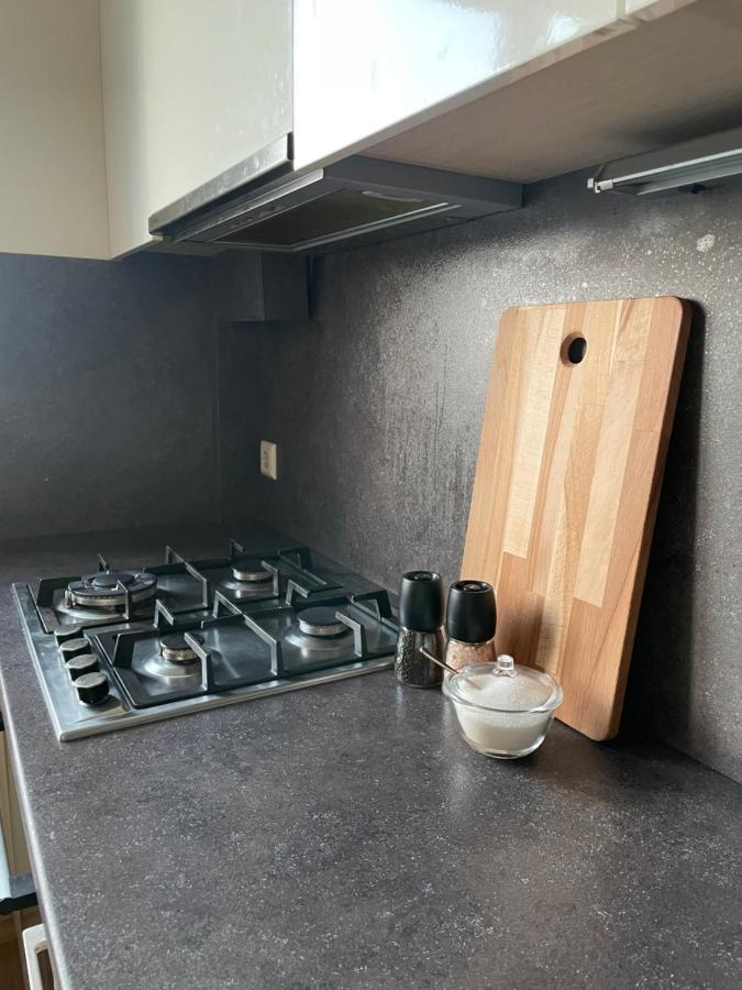 Mg Apartment Kaunas Luaran gambar